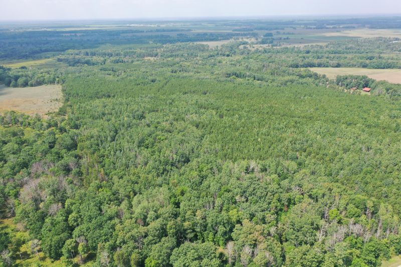 TBD 275th Ave, Sebeka, MN 56477