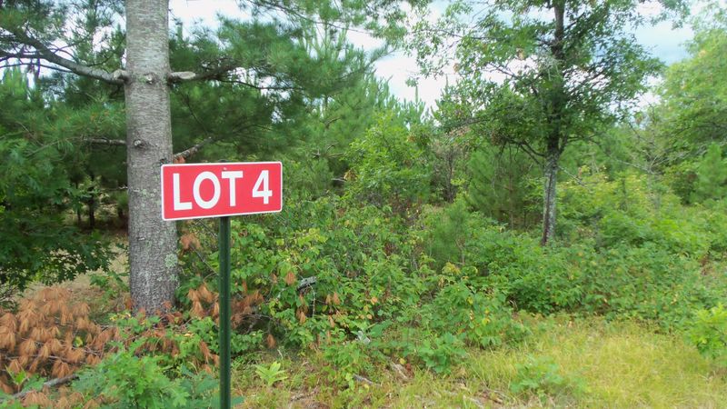 Lot 4 Nancy Lake Rd, Minong, WI 54859