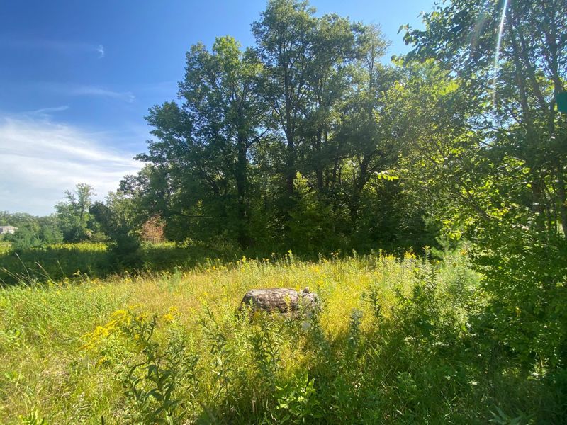 xxxx Salmonson River Trl, Mora, MN 55051