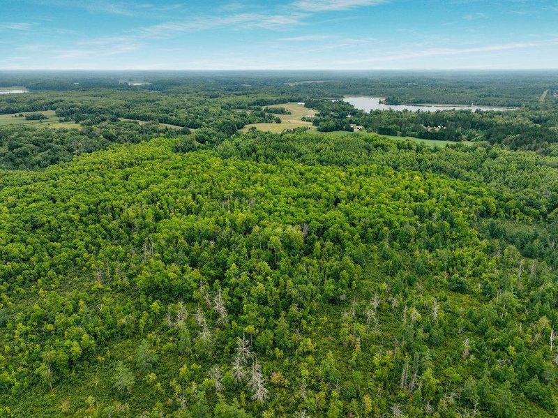 26775 Lily Lake Inn Rd, Webster, WI 54893