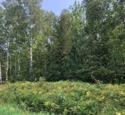 TBD County 60, Bovey, MN 55709
