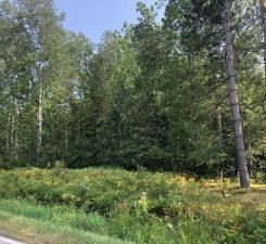 TBD County 60, Bovey, MN 55709