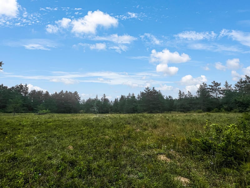 XXXX Hazel Prairie, Lake Nebagamon, WI 54849