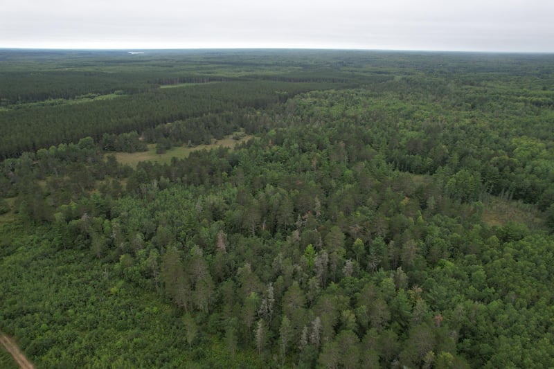 XXXX Hazel Prairie, Lake Nebagamon, WI 54849