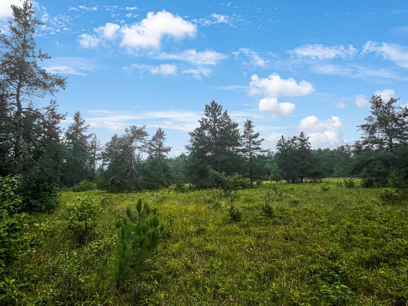 XXXX Hazel Prairie, Lake Nebagamon, WI 54849