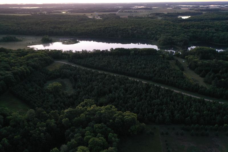 TBD 137th St, Frazee, MN 56544