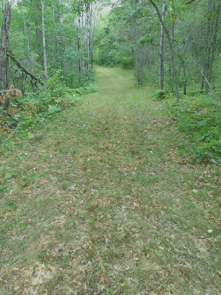 XXX Little Scenic Trl, Ponsford, MN 56575