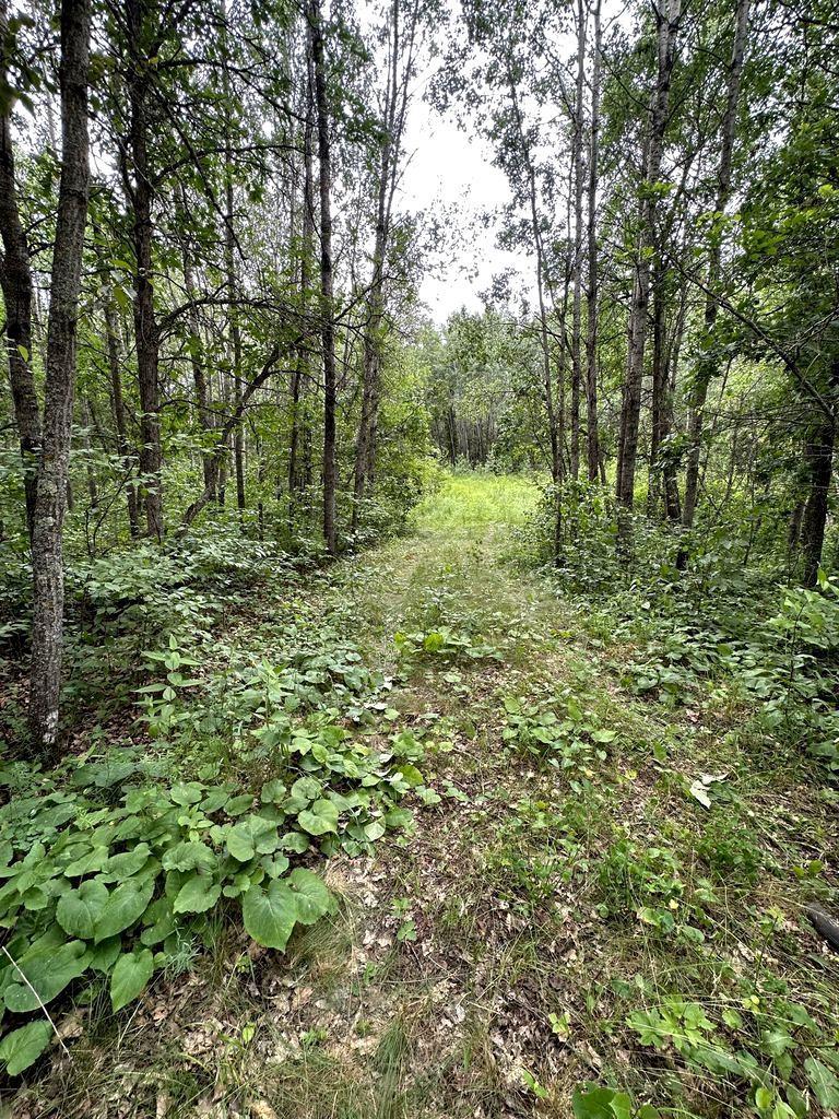 XXX Little Scenic Trl, Ponsford, MN 56575