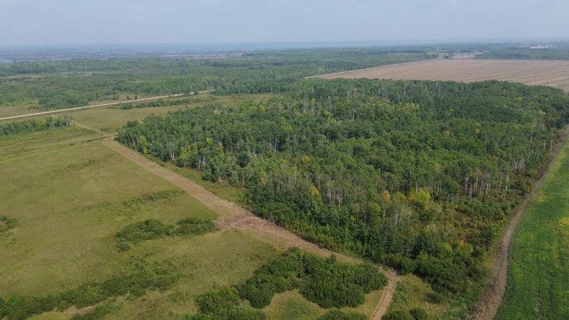 XXX 410th St Ne, Middle River, MN 56737