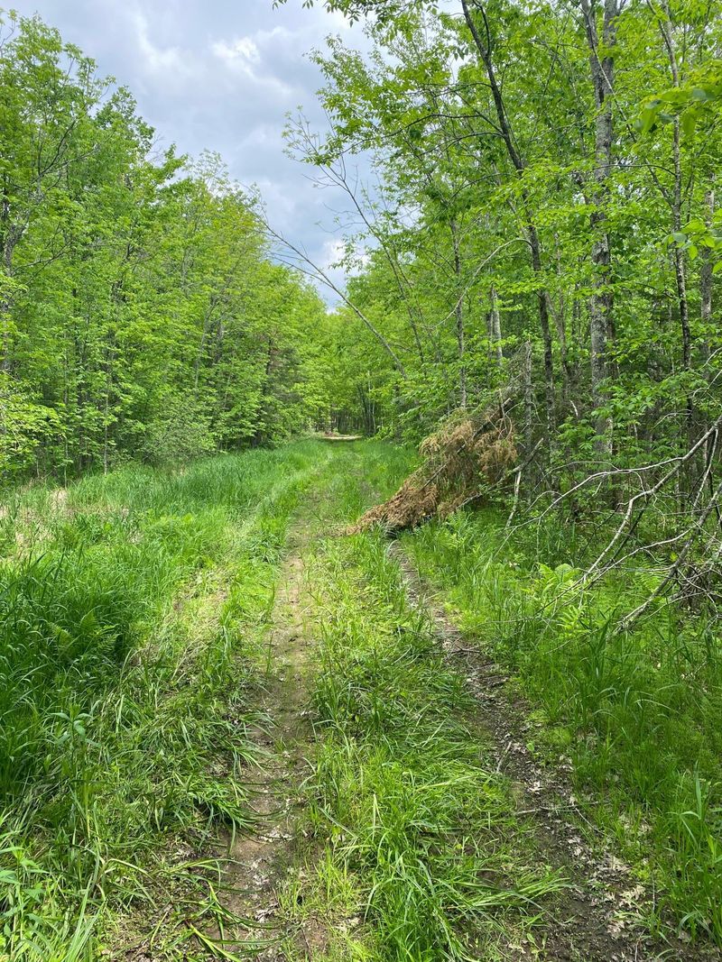 xxx Zimmerman Rd, Willow River, MN 55795