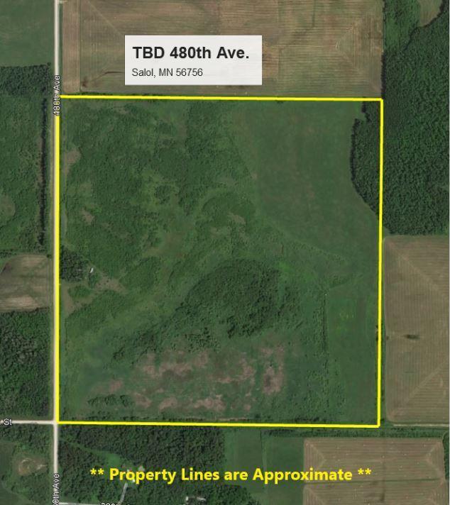 TBD 480th Ave, Salol, MN 56756