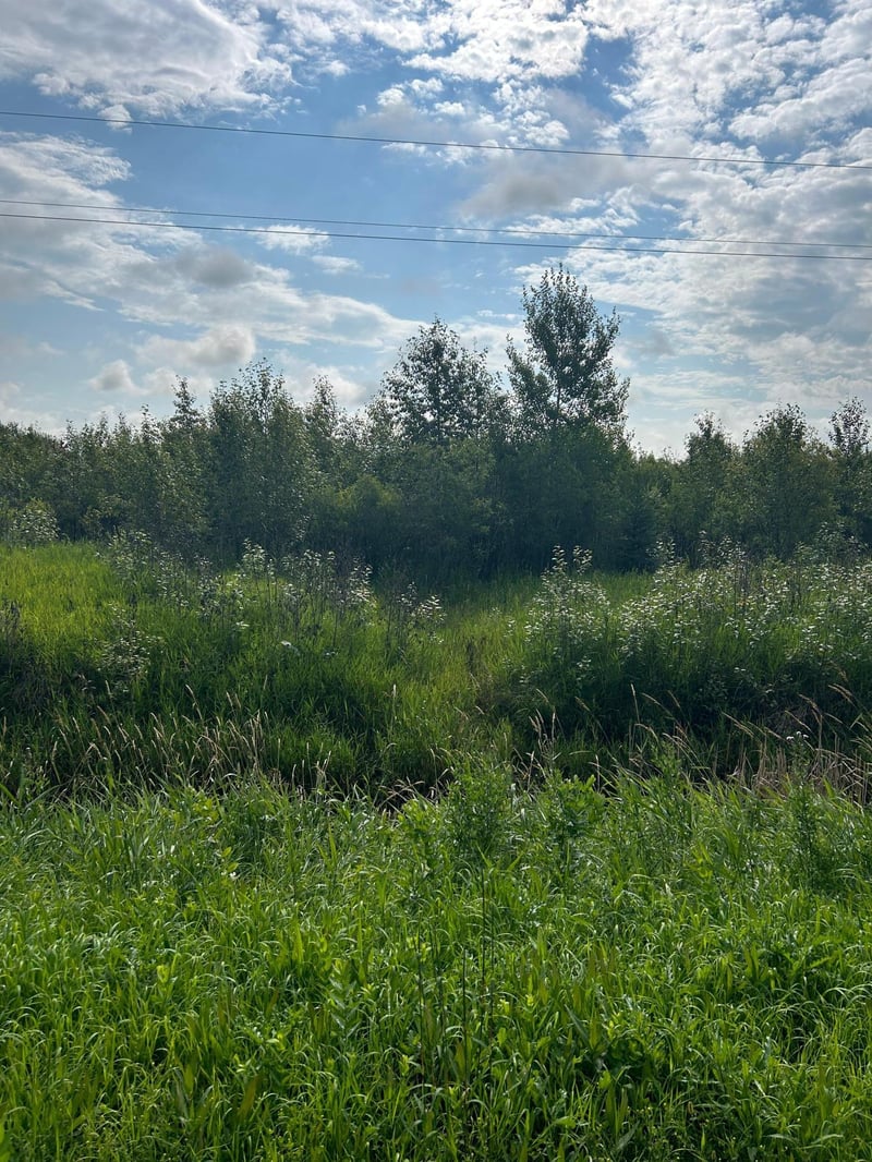 TBD 480th Ave, Salol, MN 56756