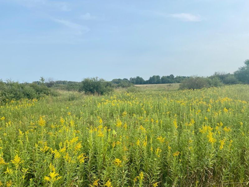xxxxx 80th Ave, Milaca, MN 56353