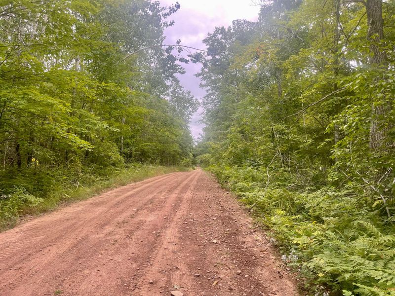 XXX Duncan Rd, Sandstone, MN 55072