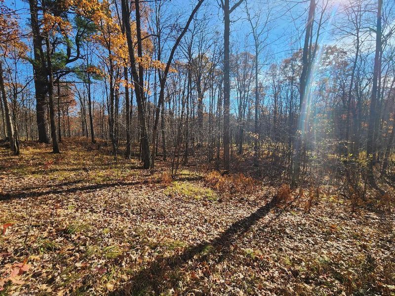 XX Timberland Rd, Barronett, WI 54813