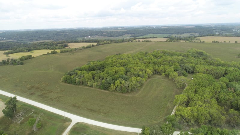xxx County 7, Chatfield, MN 55923