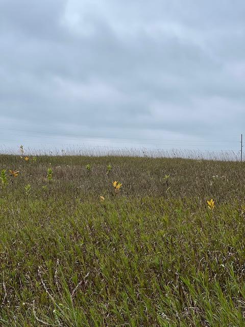 TBD County Road 3, Fifty Lakes, MN 56448
