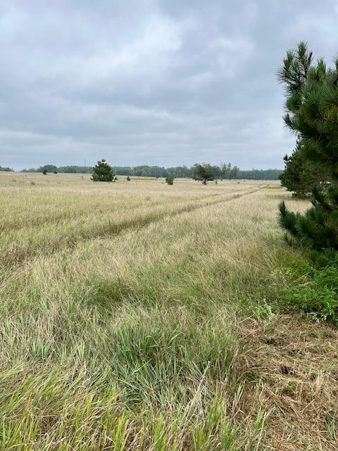 TBD County Road 3, Fifty Lakes, MN 56448
