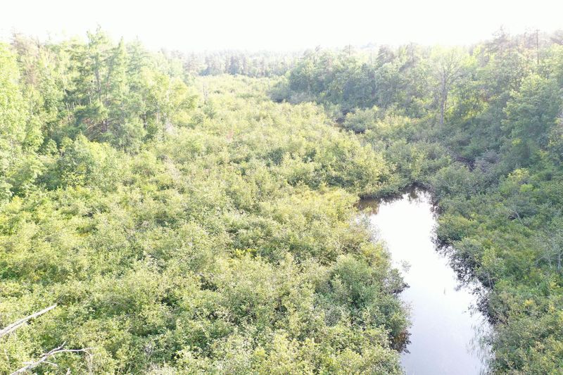 0 County Line Rd, Minong, WI 54859