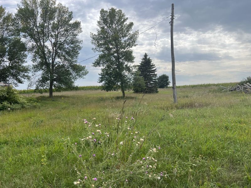 12663 103rd Ave, Kimball, MN 55353