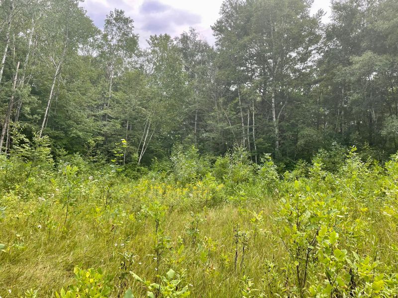 5526 36th St NW, Akeley, MN 56433