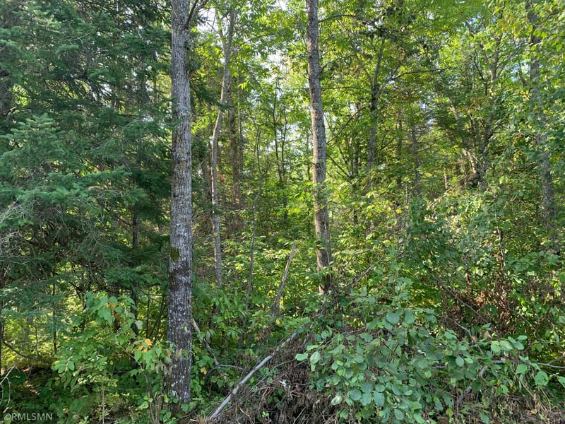 XXX 500th Ln, Tamarack, MN 55787
