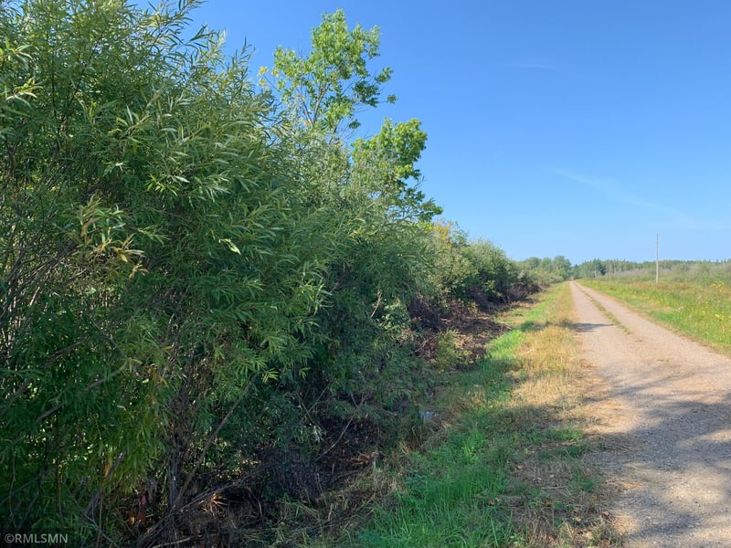 XXX 500th Ln, Tamarack, MN 55787