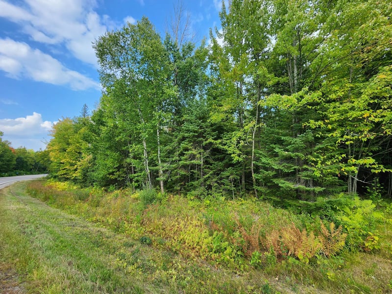 TBD County Rd 12, Pengilly, MN 55775