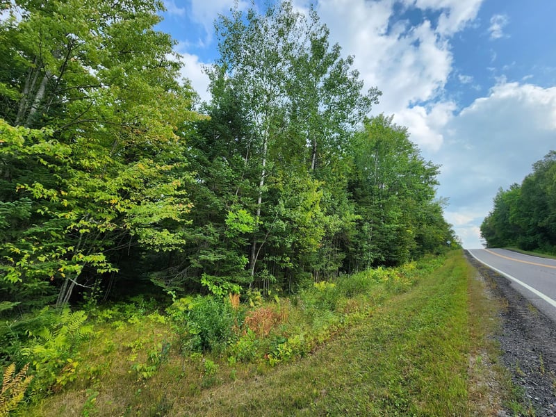 TBD County Rd 12, Pengilly, MN 55775