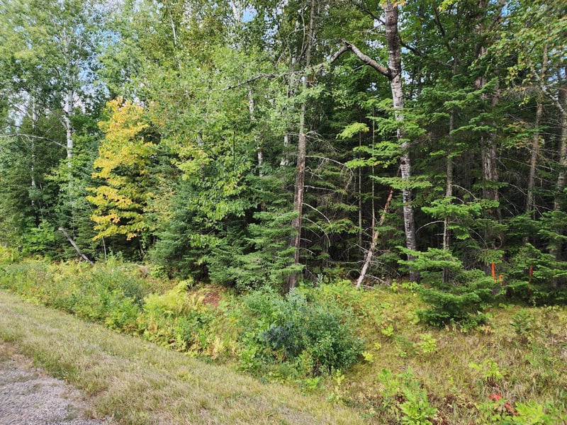 TBD County Rd 12, Pengilly, MN 55775