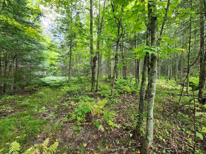 TBD County Rd 12, Pengilly, MN 55775