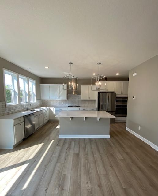 22745 Wood Ln, Rogers, MN 55374
