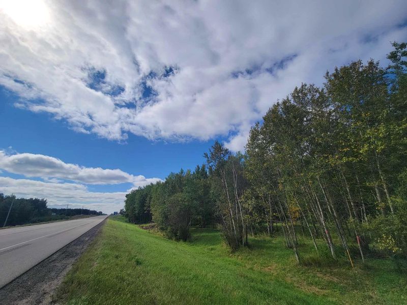 XXX Parcel C State Highway 371, Backus, MN 56435