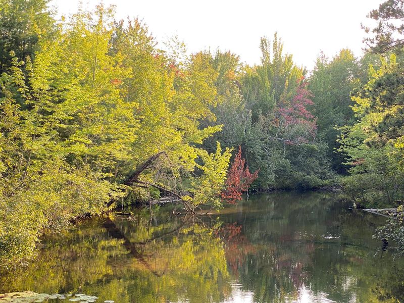 13975 S East Mail Rd, Gordon, WI 54838