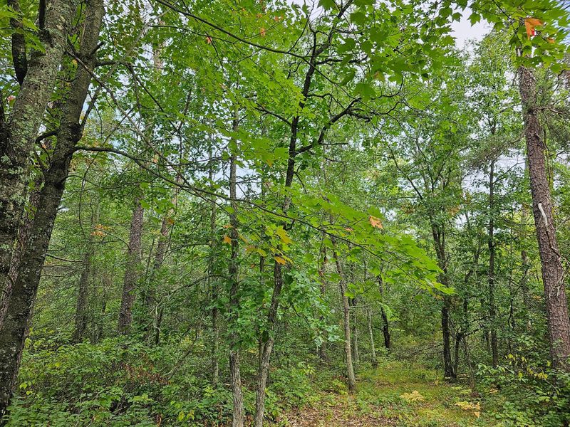 4902 Twisted Oak Trl, Danbury, WI 54830