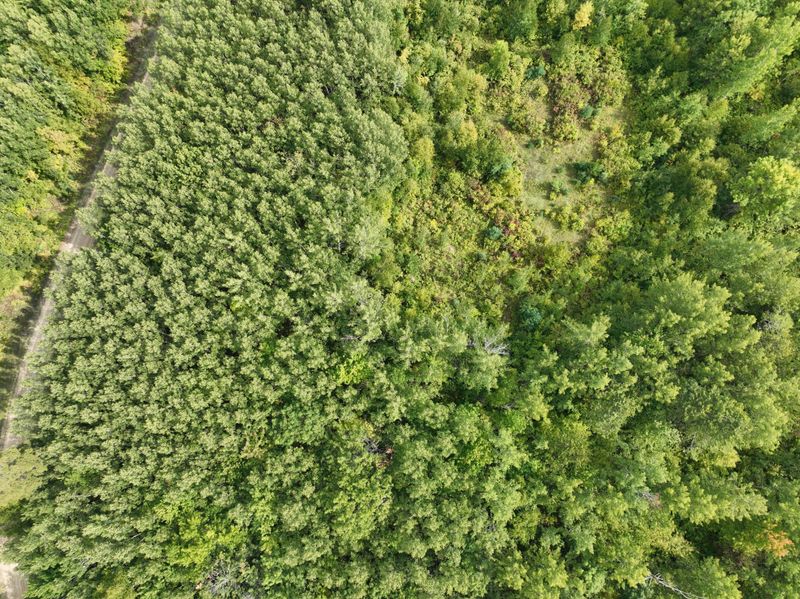 TBD Hillsdale Way NW, Walker, MN 56484