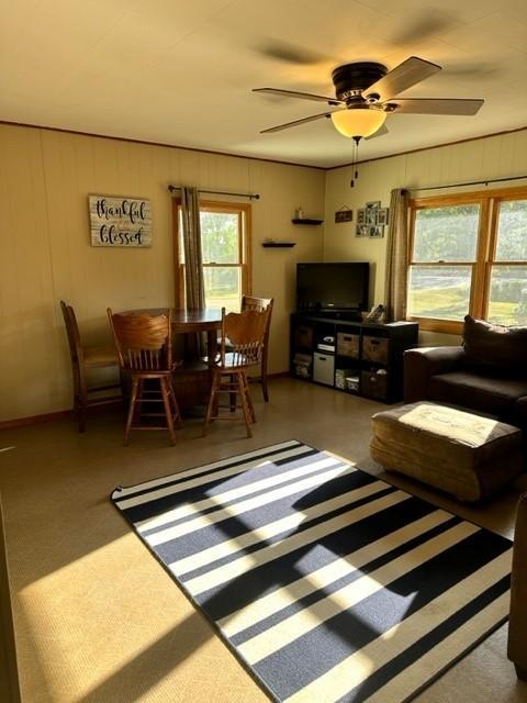 43438 County 3, Solway, MN 56678