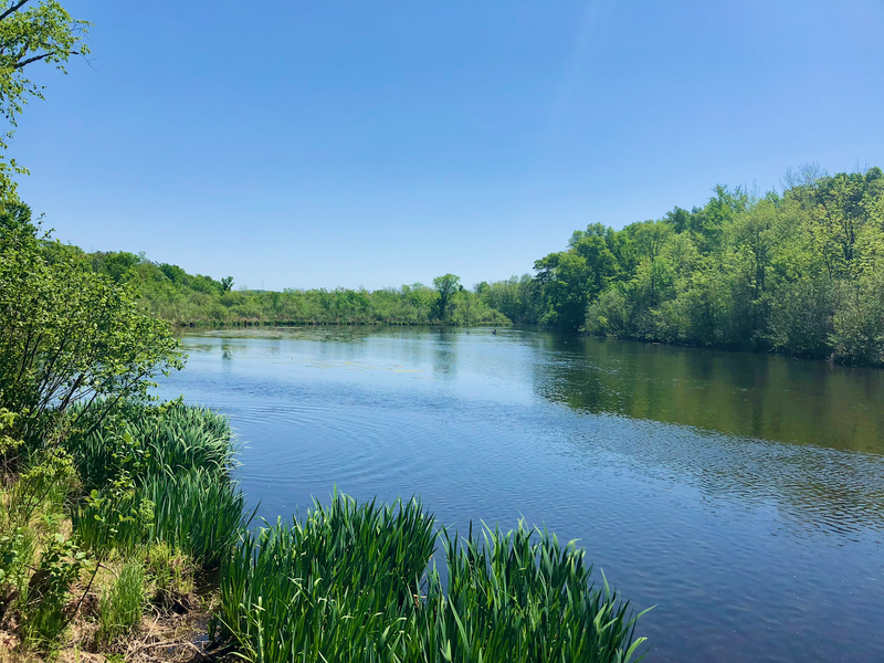 N4538 Loop Rd, Spooner, WI 54801