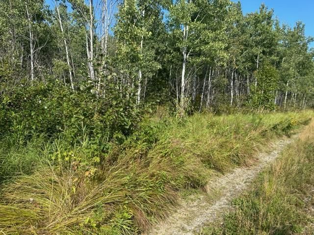 TBD Karjala Rd, Tower, MN 55790