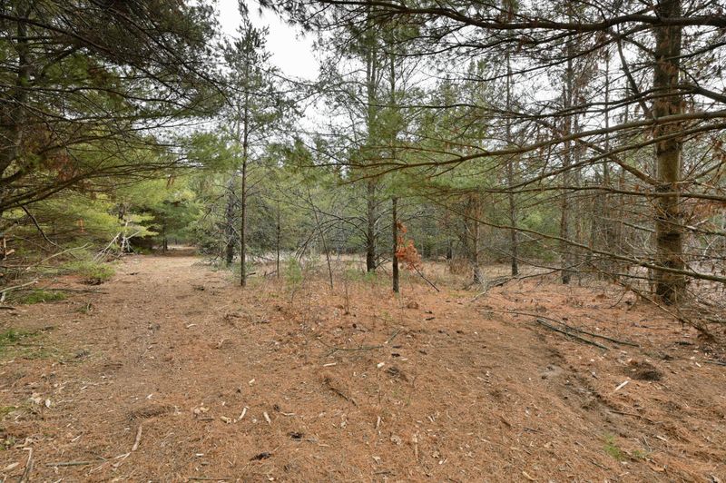 Lot 1 County Road Ff, Webster, WI 54893