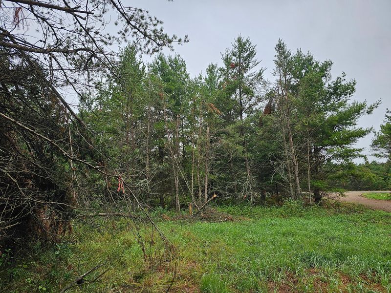 Lot 1 County Road Ff, Webster, WI 54893