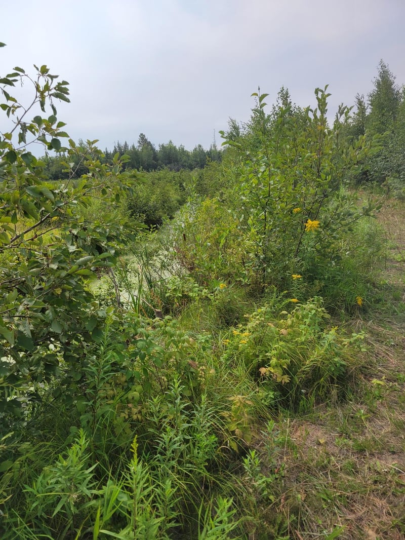 24732 State Hwy 18, Mc Grath, MN 56350