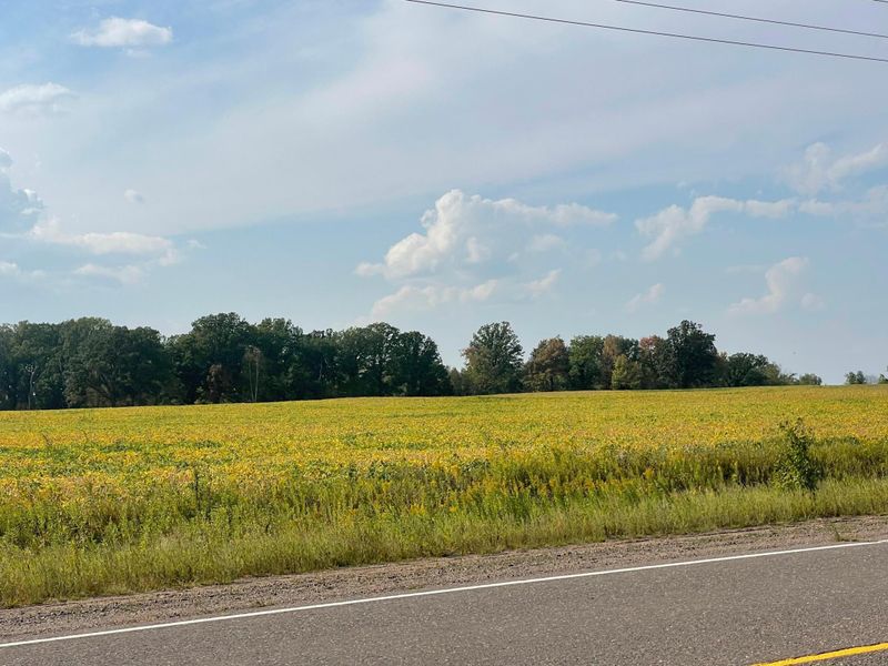 XXXXX Rice Rd, Hinckley, MN 55037
