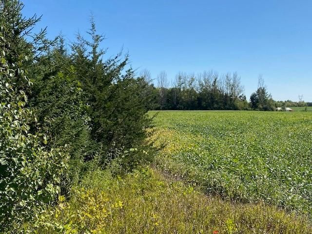 Lot 1 140th St, Glencoe, MN 55336