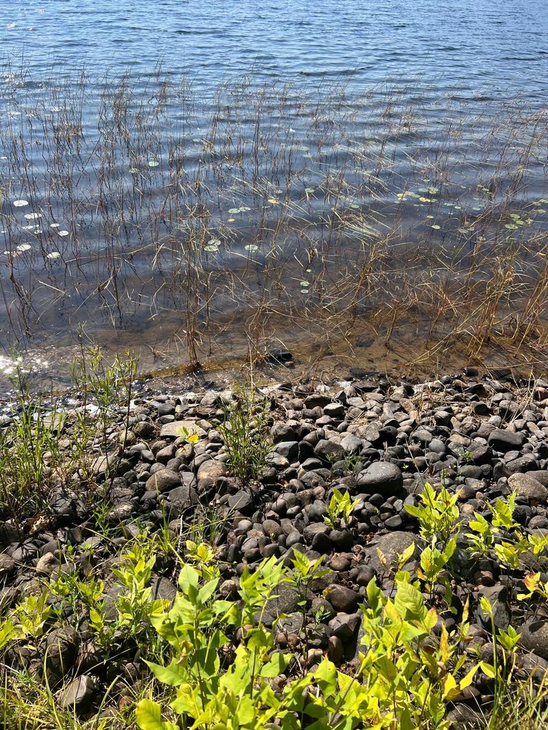 22298 S Crooked Lk Rd, Bovey, MN 55709