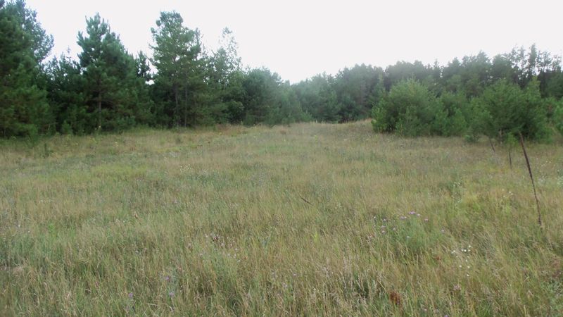 Lot 2 Hgh Ridge Trl, Webster, WI 54893