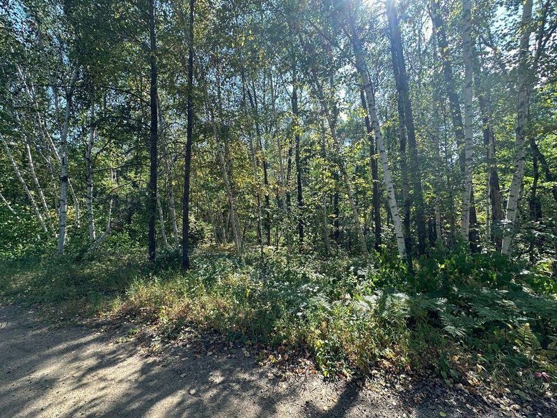 123 Elmwood Cir, Nevis, MN 56467