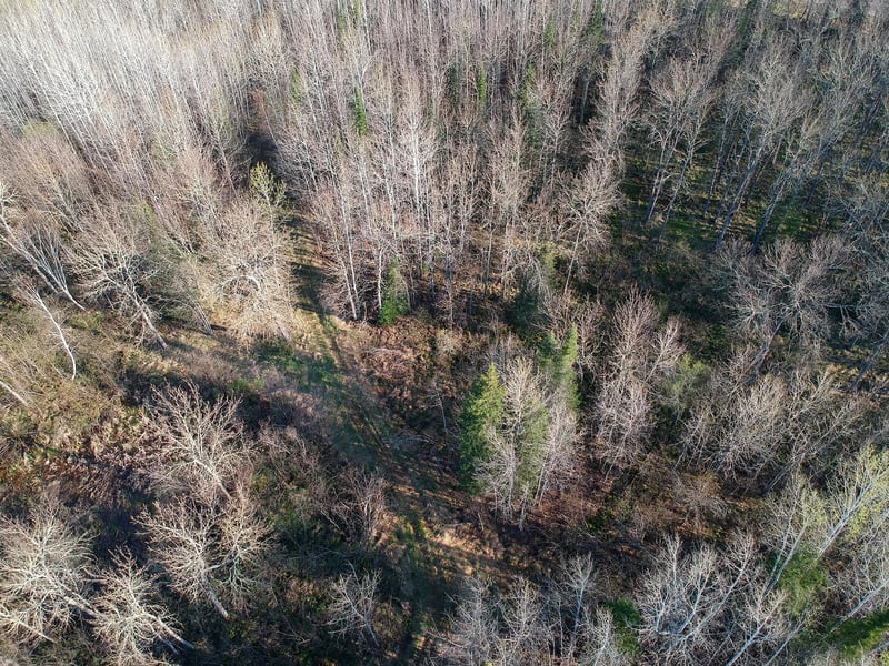 11092 Willow River Rd, Orr, MN 55771
