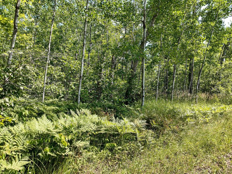 25xB Vermilion Rd, Duluth, MN 55804