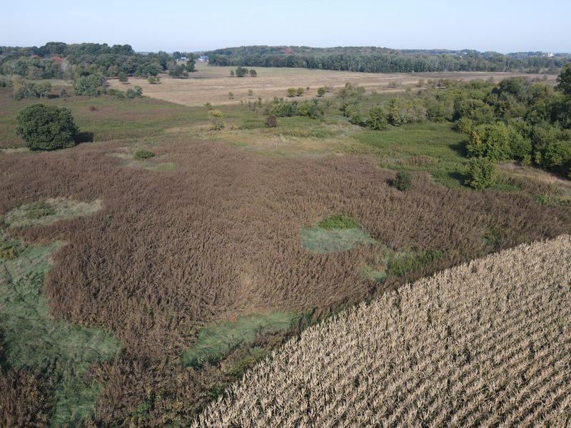 XXX Brantner Rd, Durand, WI 54736
